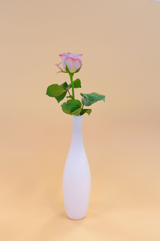 Vase_13x18